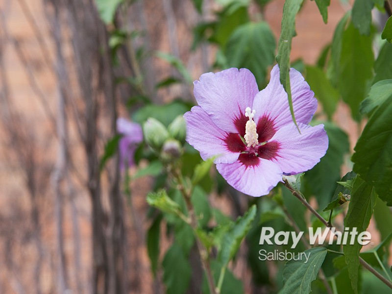 9 Gordonstown Road, Brahma Lodge SA 5109