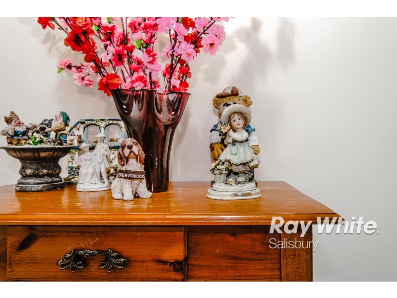 17 Douglas Road, Salisbury East SA 5109