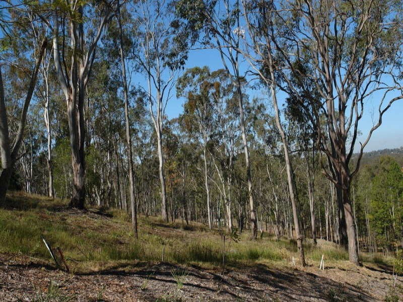 Lot 1 Winrock Street, Brookfield QLD 4069