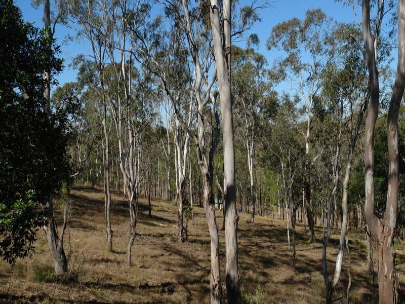 Lot 1 Winrock Street, Brookfield QLD 4069