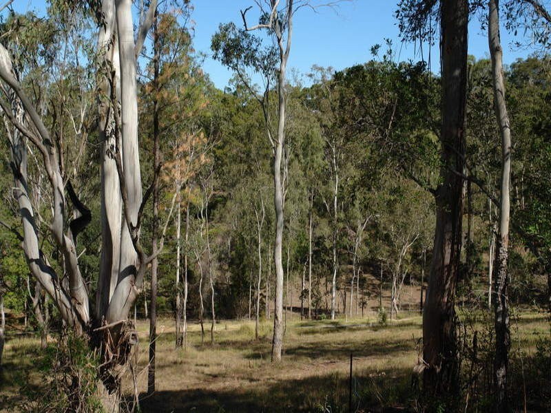 Lot 1 Winrock Street, Brookfield QLD 4069