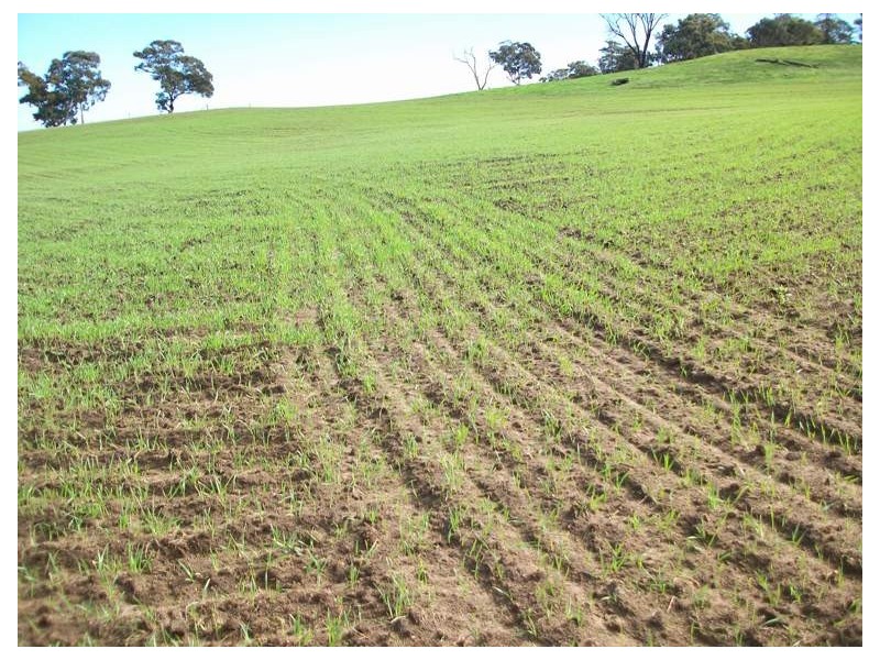 6128 Doust Street, Boyup Brook WA 6244