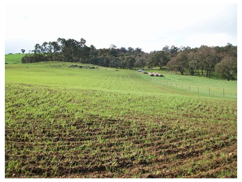 6128 Doust Street, Boyup Brook WA 6244