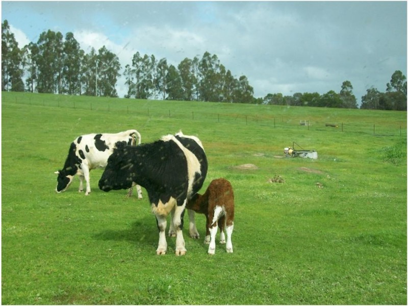 6128 Doust Street, Boyup Brook WA 6244