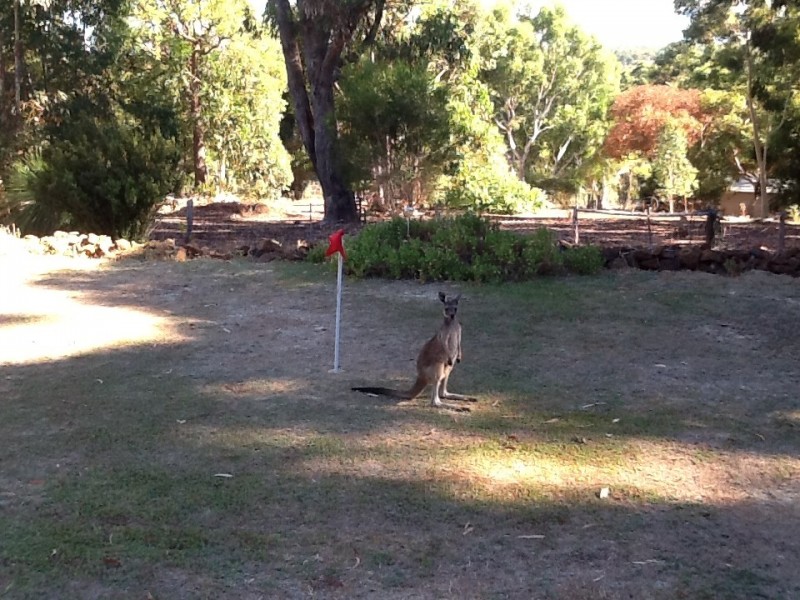 27 Wallangarra Drive, Bedfordale WA 6112
