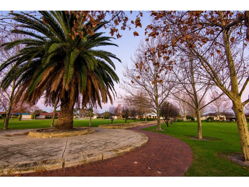 6 Capensia Way, Canning Vale WA 6155