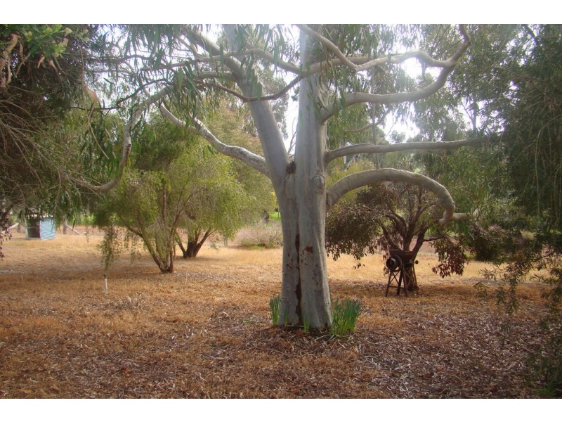 13 Lefroy Road, Bridgetown WA 6255