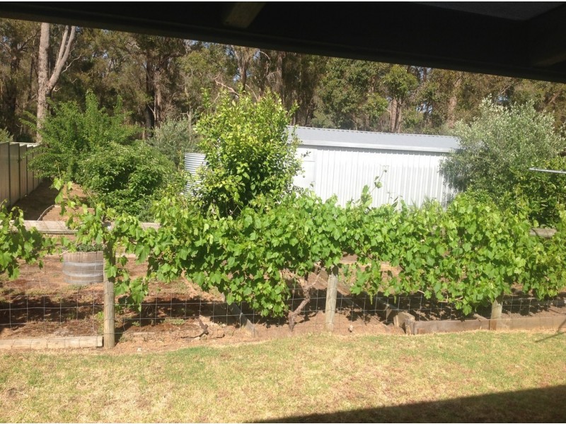 85 Telluride Street, Greenbushes WA 6254