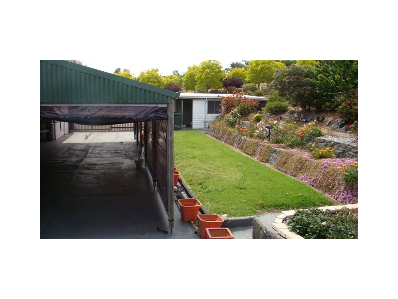 41 Robinia Way, Bridgetown WA 6255