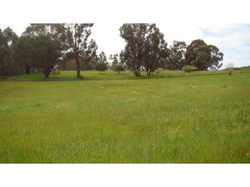 13 Doust St, Bridgetown WA 6255