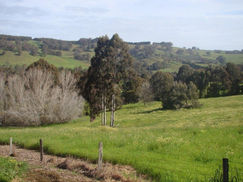 22 Bovell St, Bridgetown WA 6255