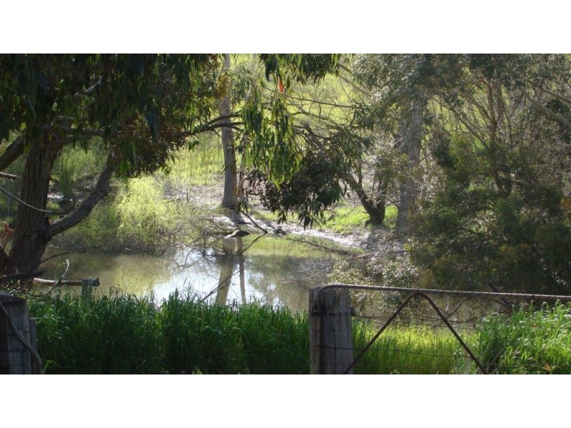 22 Bovell St, Bridgetown WA 6255