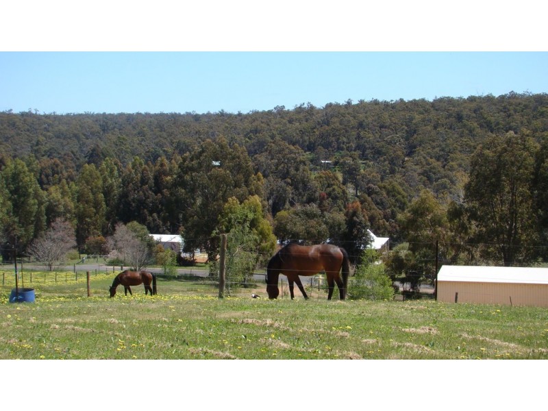 47 Forest View Court, North Greenbushes WA 6254