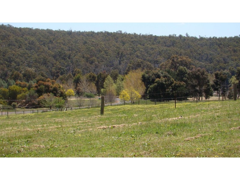 47 Forest View Court, North Greenbushes WA 6254