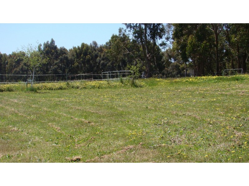 47 Forest View Court, North Greenbushes WA 6254