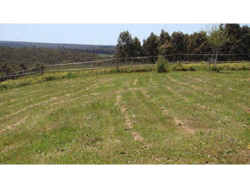 47 Forest View Court, North Greenbushes WA 6254