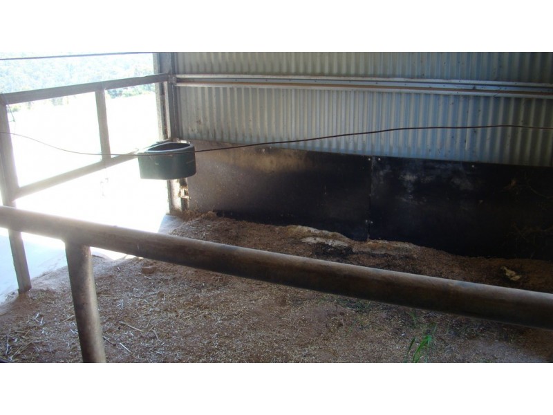 47 Forest View Court, North Greenbushes WA 6254