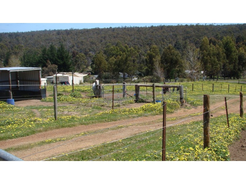 47 Forest View Court, North Greenbushes WA 6254