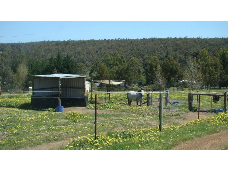 47 Forest View Court, North Greenbushes WA 6254