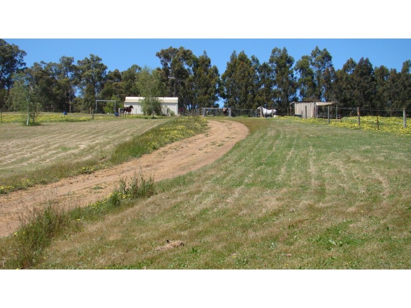 47 Forest View Court, North Greenbushes WA 6254