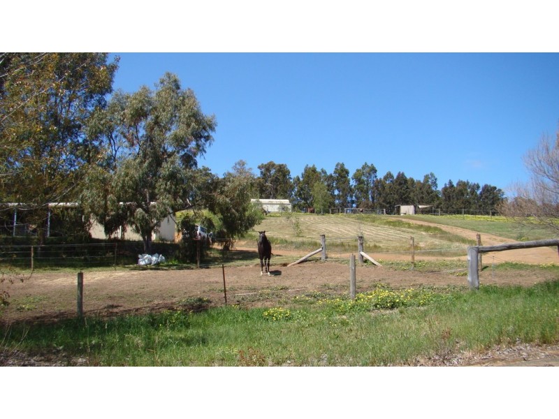 47 Forest View Court, North Greenbushes WA 6254