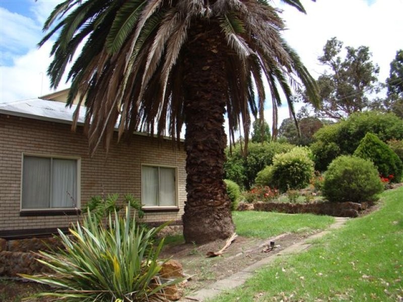 19 Barlee Street, Bridgetown WA 6255