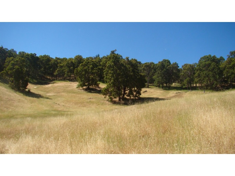 46 Eedle Terrace, Bridgetown WA 6255