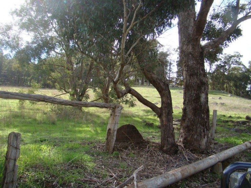 46 Eedle Terrace, Bridgetown WA 6255