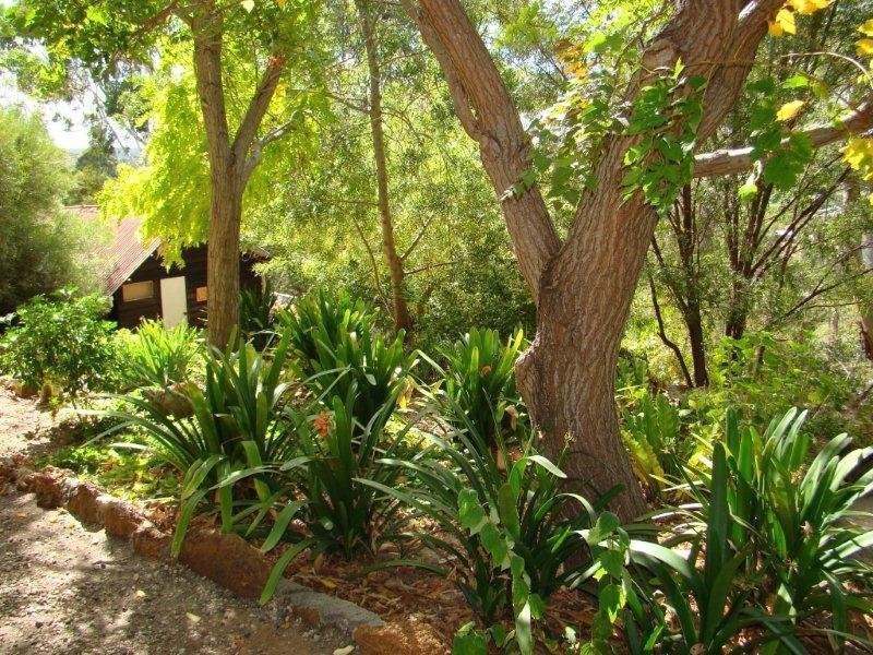 Lot 244 Campbell Street, Bridgetown WA 6255