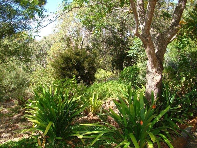 Lot 244 Campbell Street, Bridgetown WA 6255