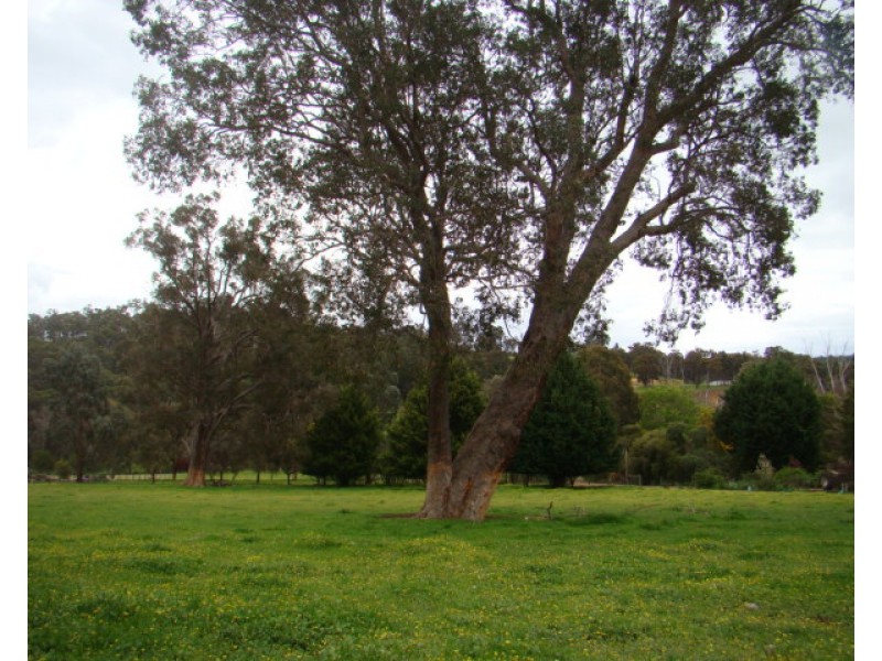 Lot 32 Henderson Road, Bridgetown WA 6255