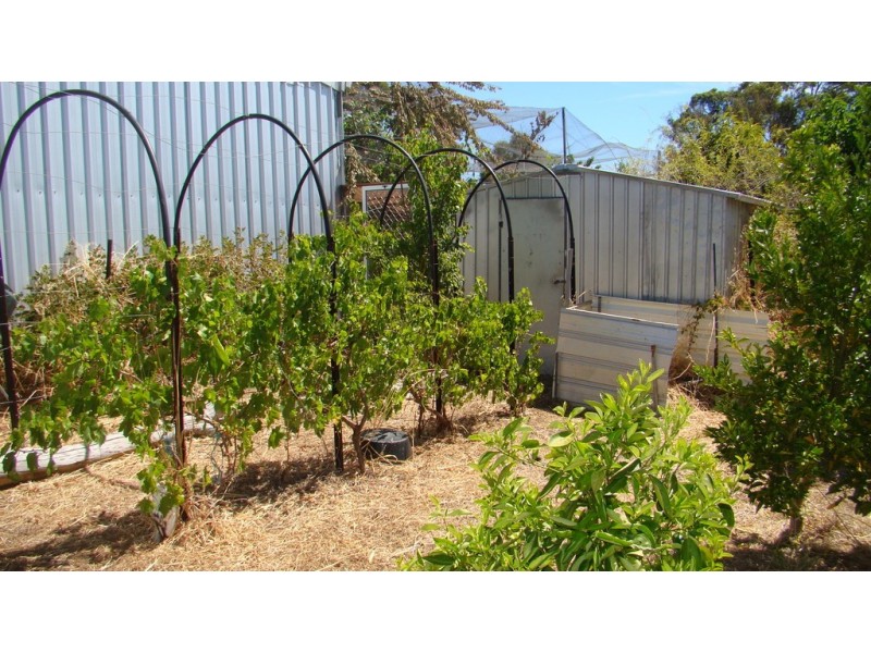 7 Gregory Street, Dinninup, Boyup Brook WA 6244