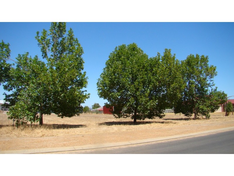 5 Kincaid Close, Bridgetown WA 6255