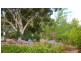 21 Whittells Rd, Bridgetown WA 6255