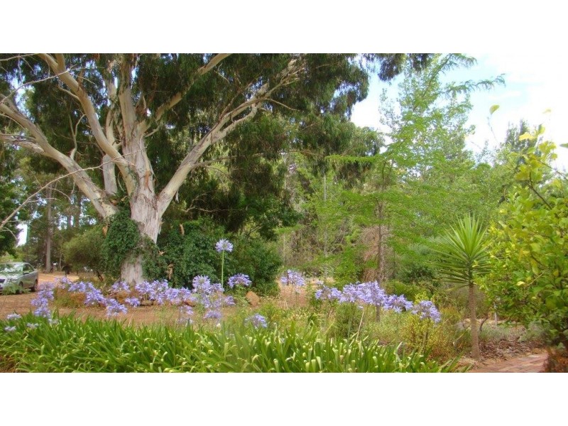21 Whittells Rd, Bridgetown WA 6255