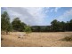 21 Whittells Rd, Bridgetown WA 6255