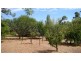 21 Whittells Rd, Bridgetown WA 6255
