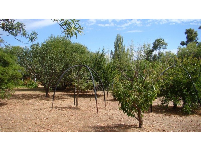 21 Whittells Rd, Bridgetown WA 6255