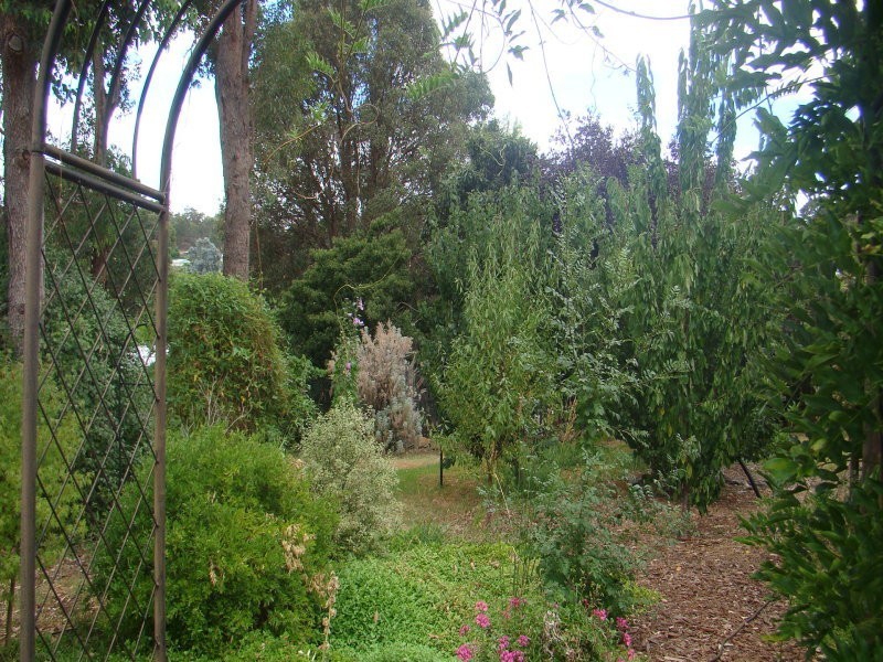 41 Blechynden Street, Bridgetown WA 6255