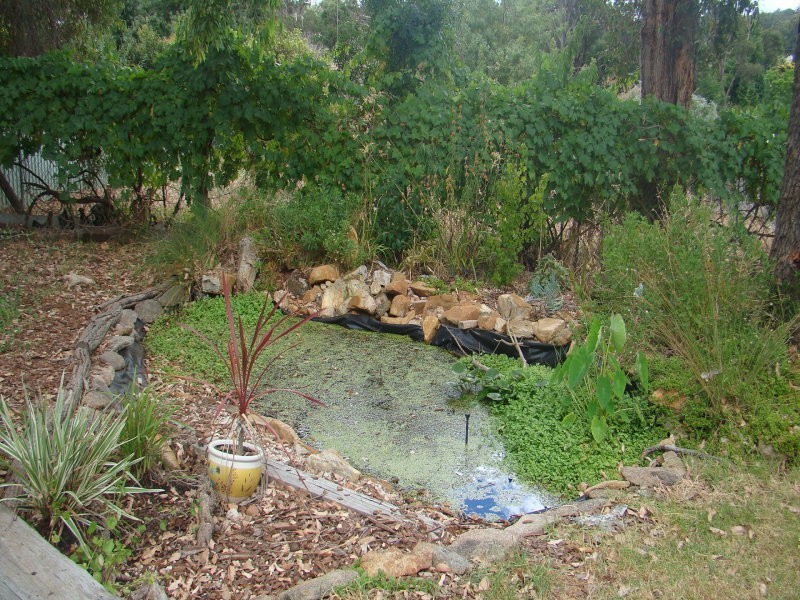 41 Blechynden Street, Bridgetown WA 6255