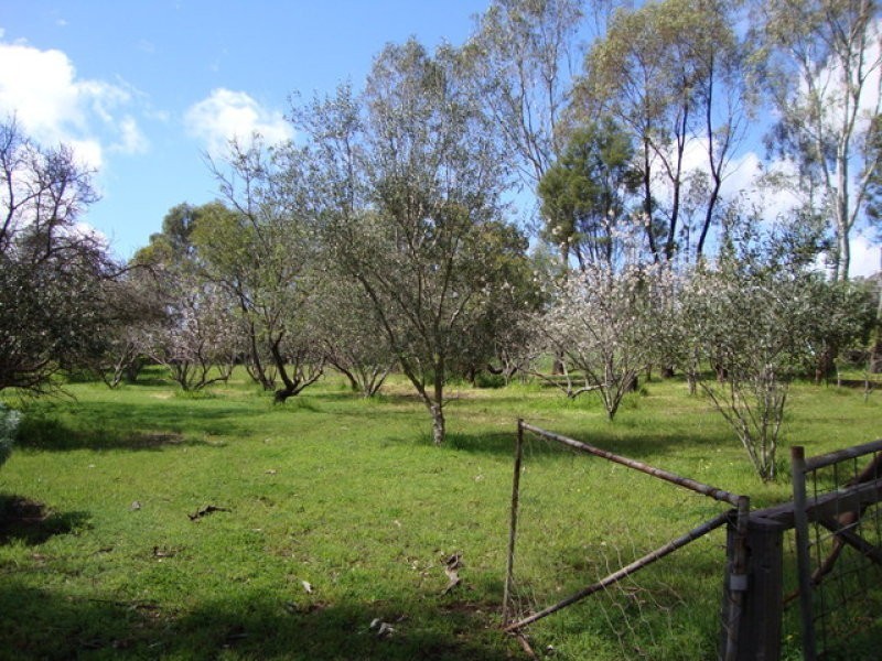 5 Doust Street, Bridgetown WA 6255