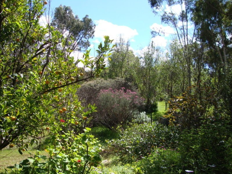 5 Doust Street, Bridgetown WA 6255