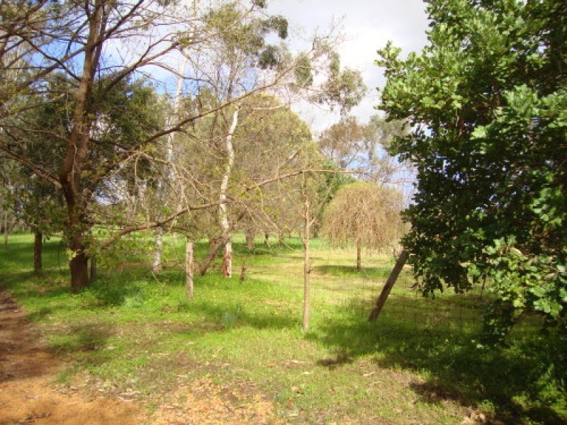 5 Doust Street, Bridgetown WA 6255