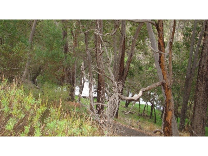 11 West Blackwood Terrace, Bridgetown WA 6255