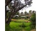 37 Grimwade Road, Balingup WA 6253