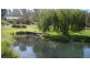 37 Grimwade Road, Balingup WA 6253