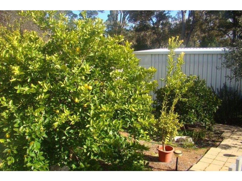 85 Telluride Street, Greenbushes WA 6254