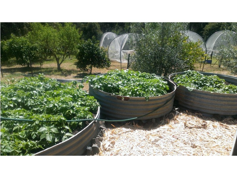 19 James Street, North Greenbushes WA 6254