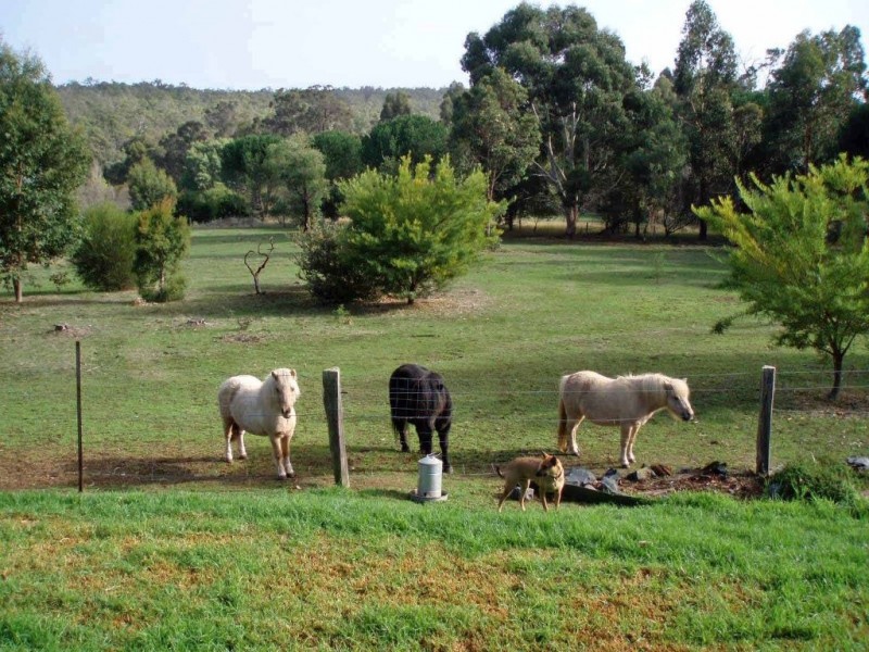 19 James Street, North Greenbushes WA 6254