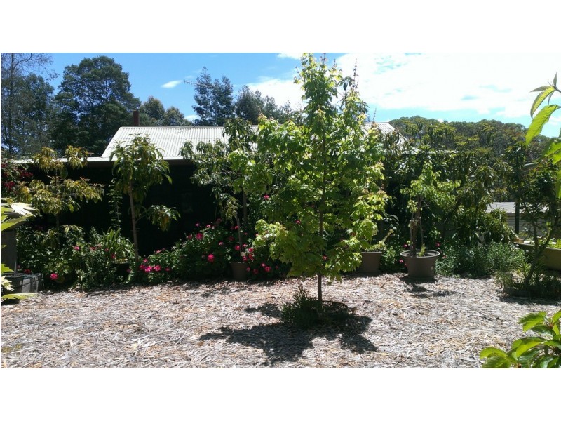 19 James Street, North Greenbushes WA 6254